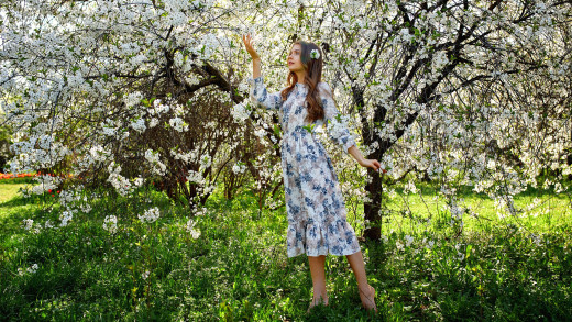 1591211 (a): :2560x1440